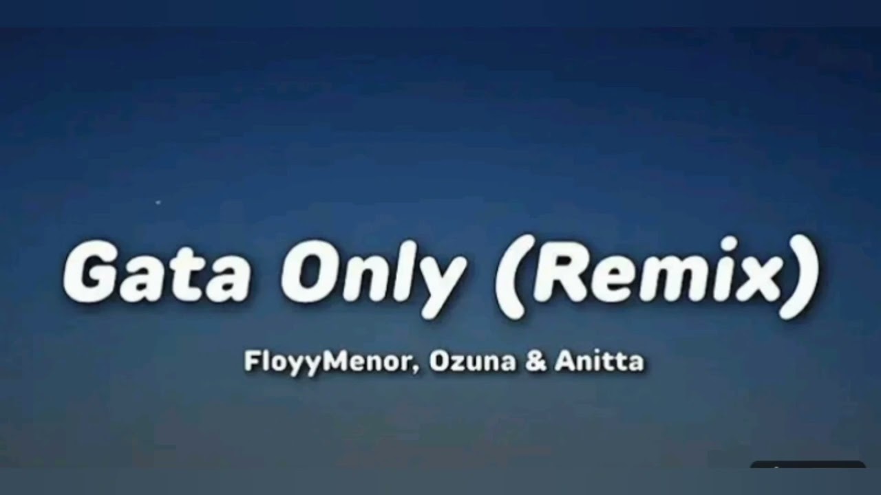 Gata only remix Lo-fi remix songs music #youtubevideo 