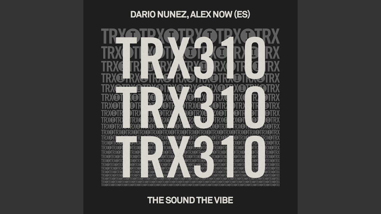 The Sound The Vibe (Extended Mix)