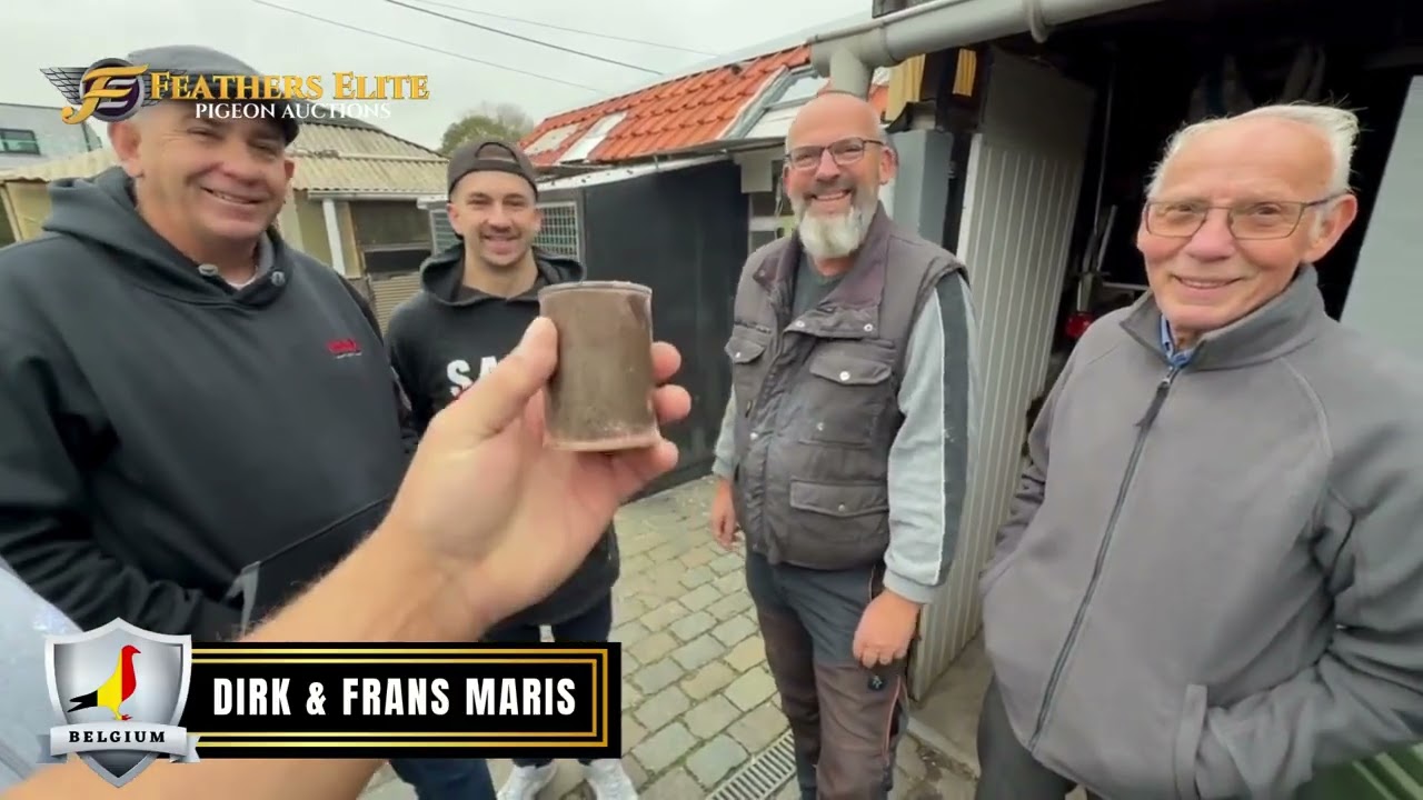 Day 1 – Pigeon Boss Tour: Behind the Scenes with Dirk & Frans Maris -Belgium Loft Visit