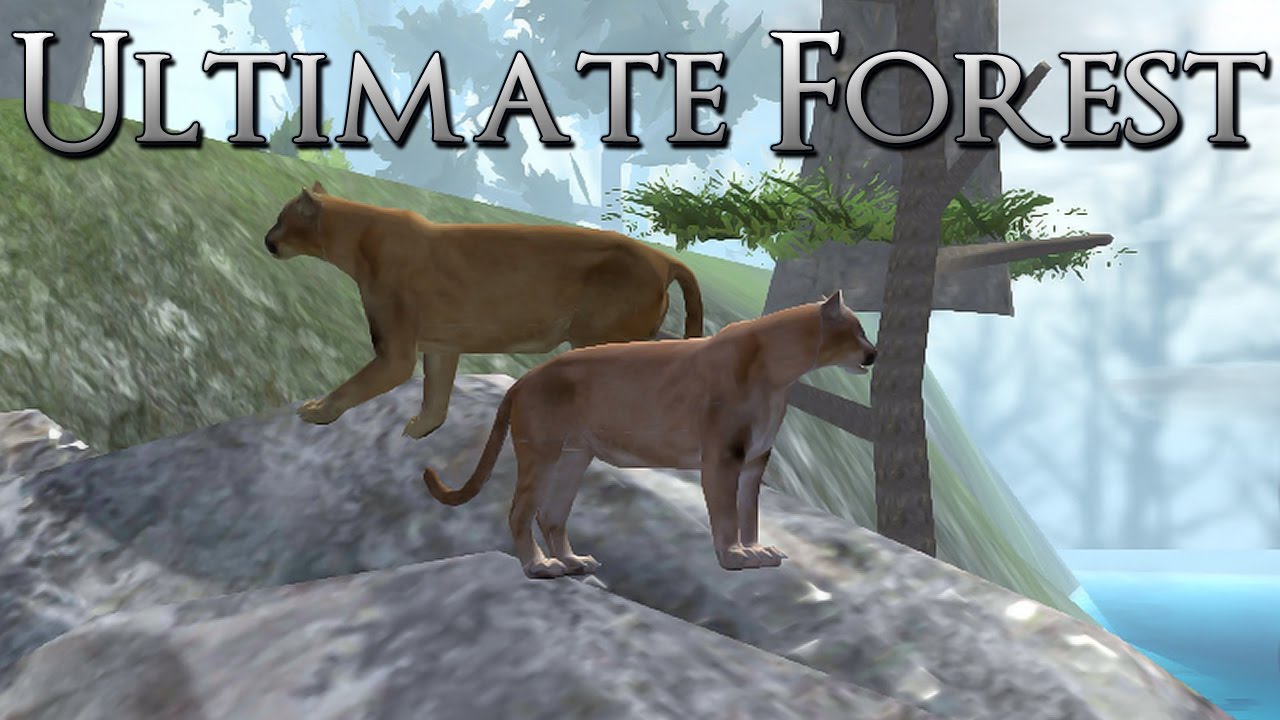 Learning to Live As a Wild Cougar!! • Ultimate Forest Simulator