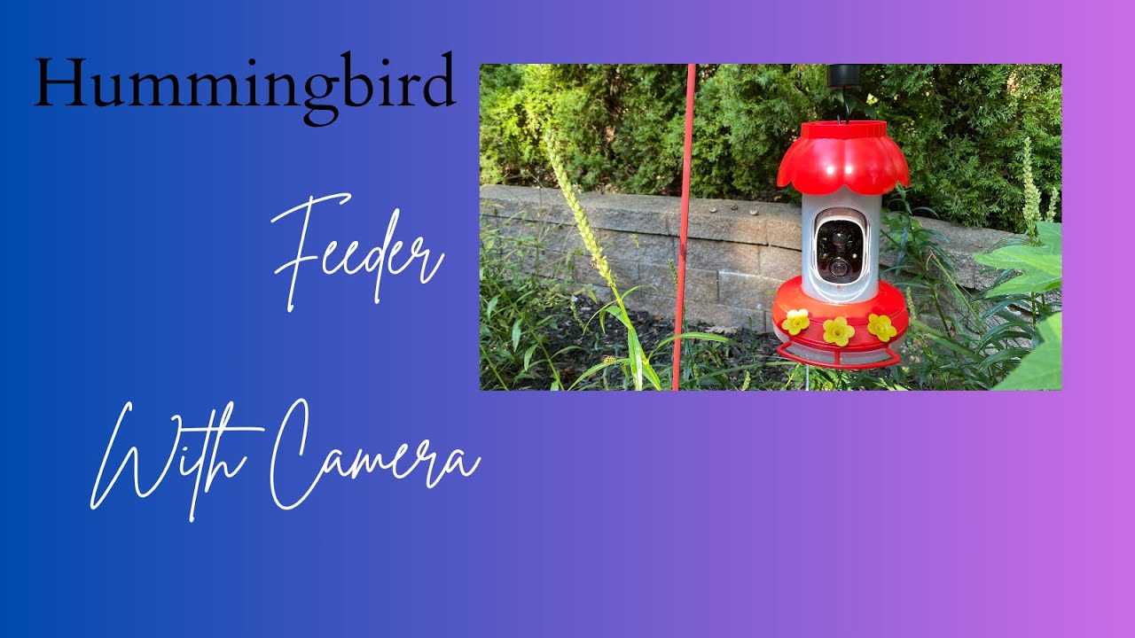 Smart Hummingbird Feeder with AI Camera & Solar Panel | Bird Watching Made Easy!