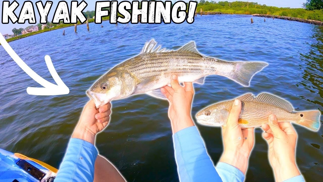 KAYAK Fishing For PUPPY DRUM and ROCKFISH On The Chesapeake Bay!