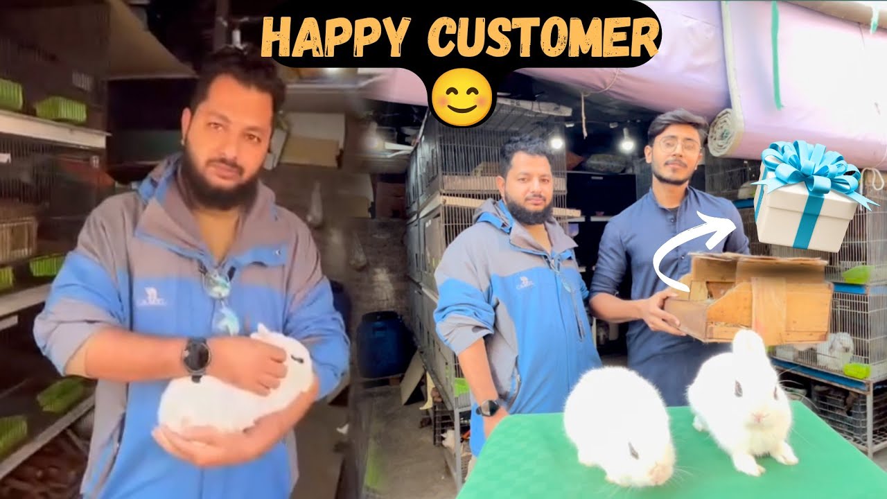 Customer ko Babies Gift Ker Diye 🎁😍 | Fancy Rabbits | Setup Update | Aftab Ahmad