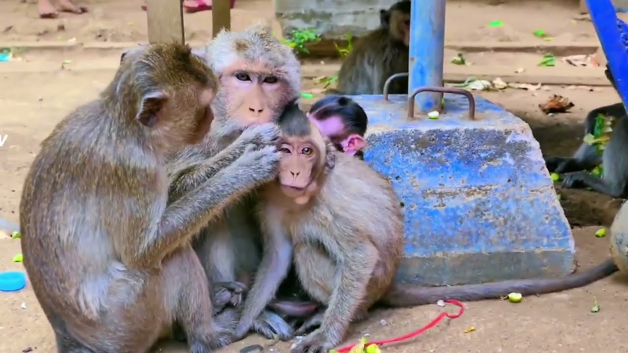 So sweet Family mother hugging big son and newborn baby