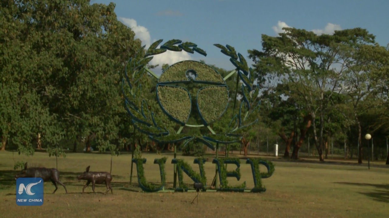 Ambitious agenda expected at upcoming UN Environment Assembly