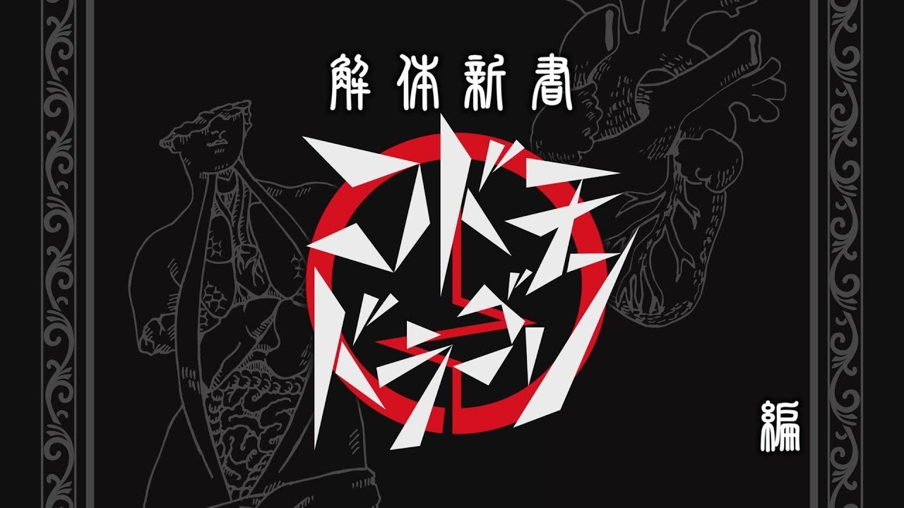 【解体新書】コドモドラゴン 編