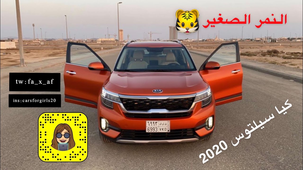 النمر الصغير 🐯 كيا سيلتوس 2020
