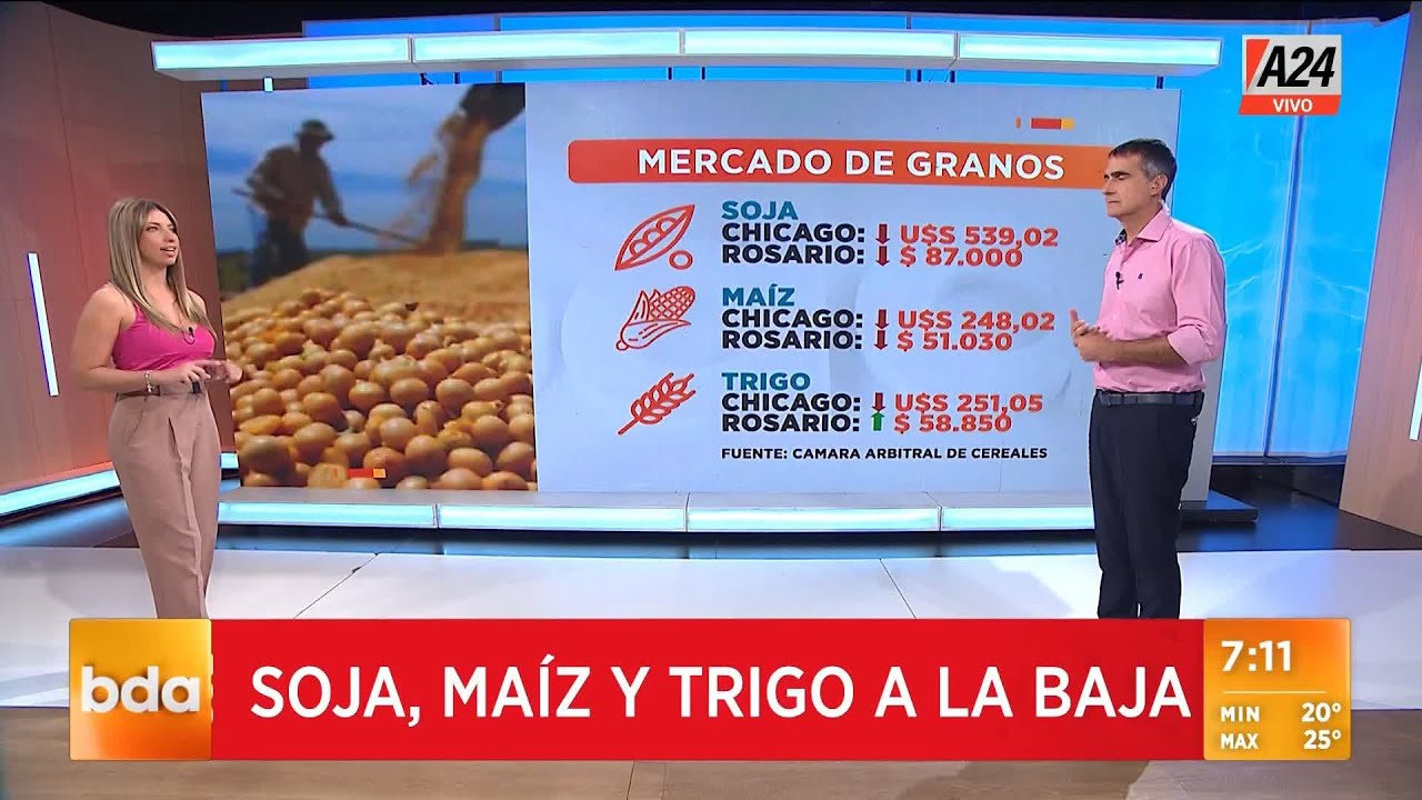 🌾 Soja, maíz y trigo a la baja