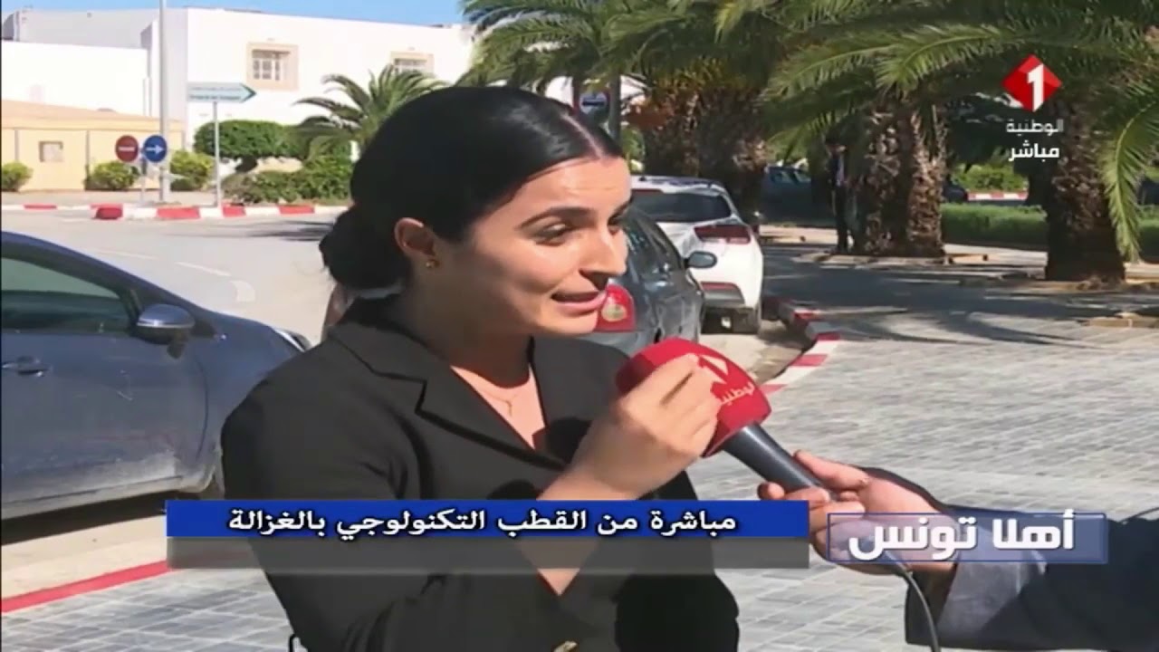 المهندسة ألفة الحامدي: لست معنية بأيّ منصب سياسي في الحكومة والتونسيون بالخارج جزء لايتجزأ من تونس