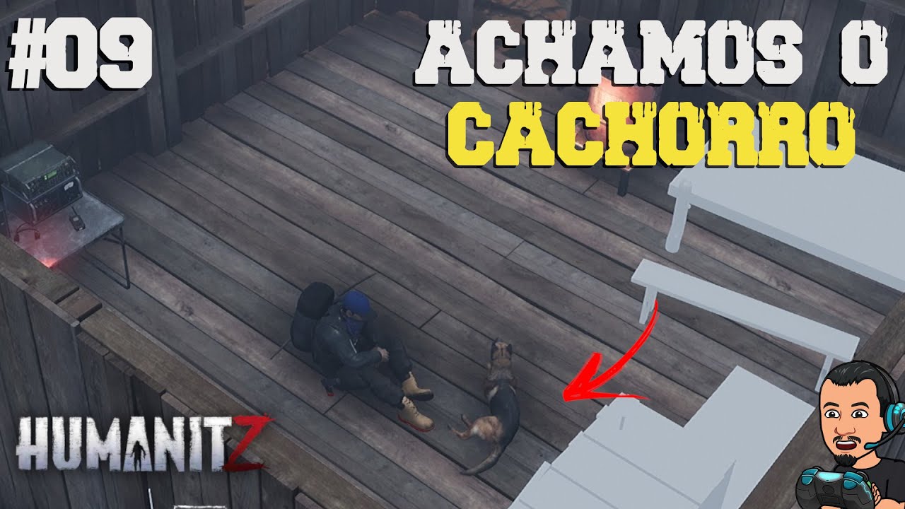 Encontrei o Cachorro e Construindo na Base  - HumanitZ PT-BR #09