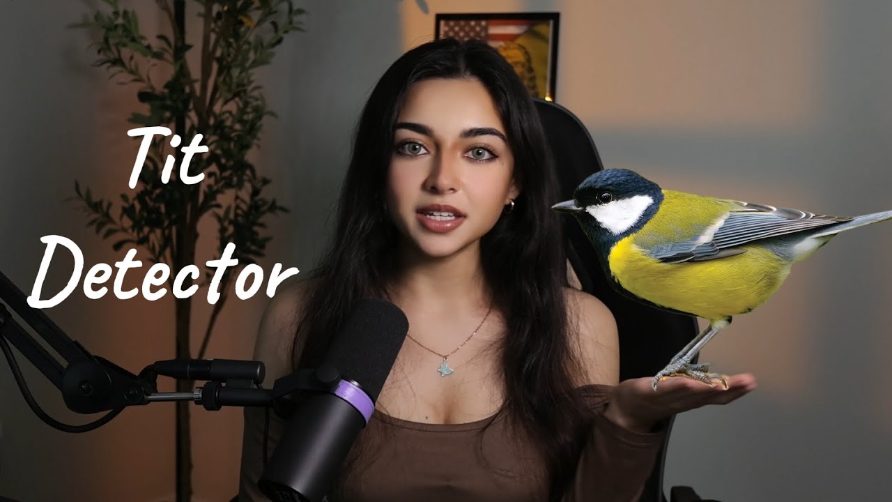 Обучите CNN распознавать сиськи (ASMR) вместе со мной