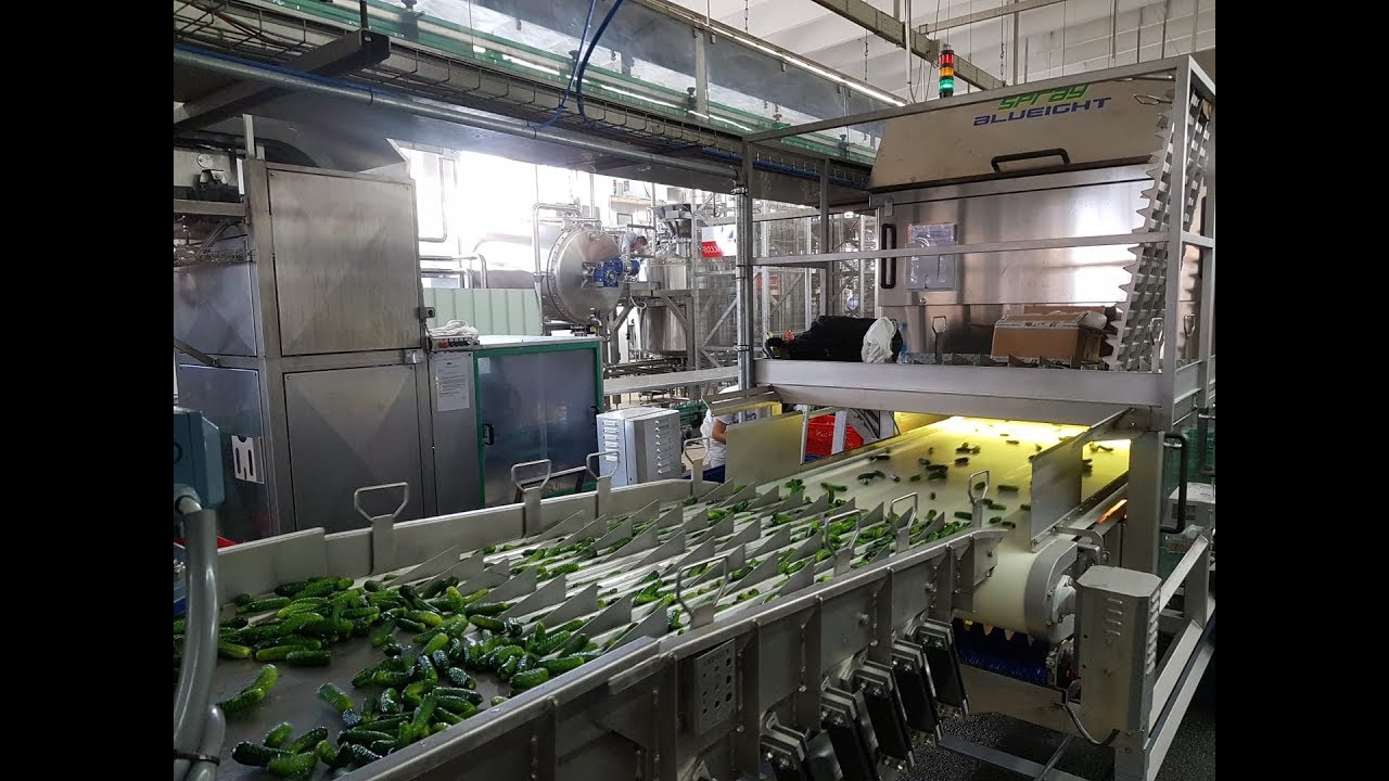 Spray 3way optical sorting machine for gerkins | Raytec Vision