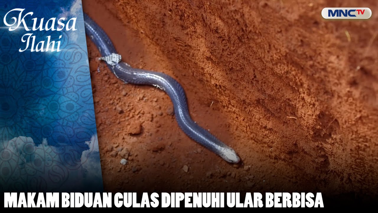 Makam Biduan Culas Dipenuhi Ular Berbisa | KUASA ILAHI