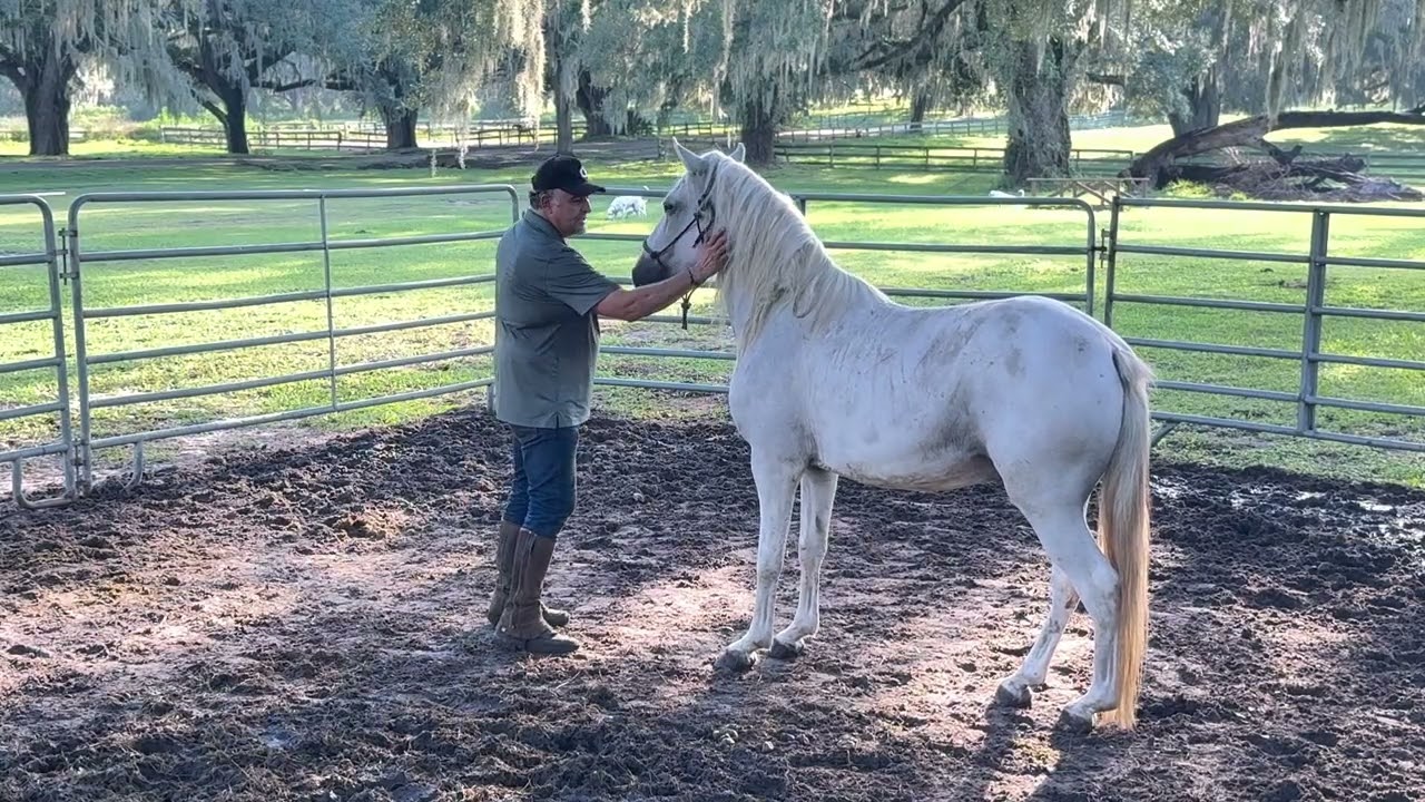 Glory with the brush Part 1 