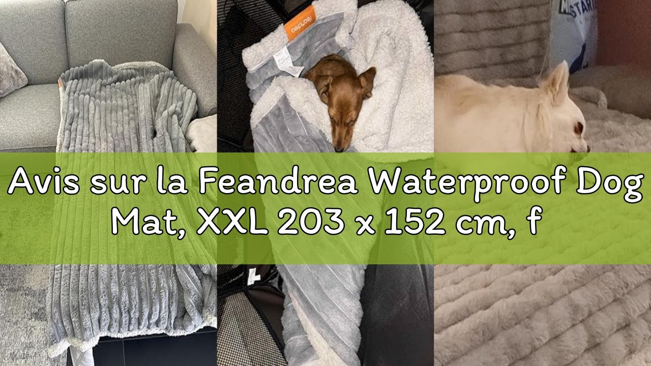 Avis sur la Feandrea Waterproof Dog Mat, XXL 203 x 152 cm, for Large and Extra Large Dogs, Reversibl