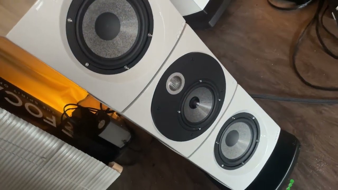 Focal Viva Utopia EVO klangmaximiert