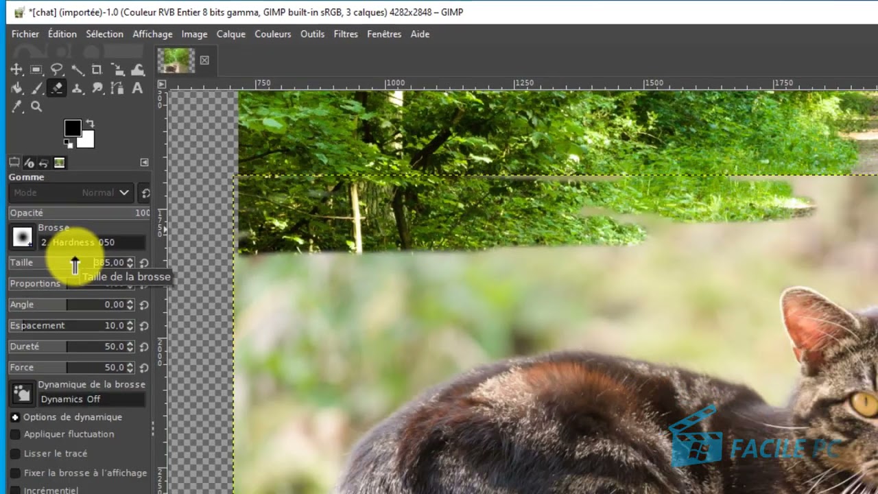 Un Photomontage avec GIMP