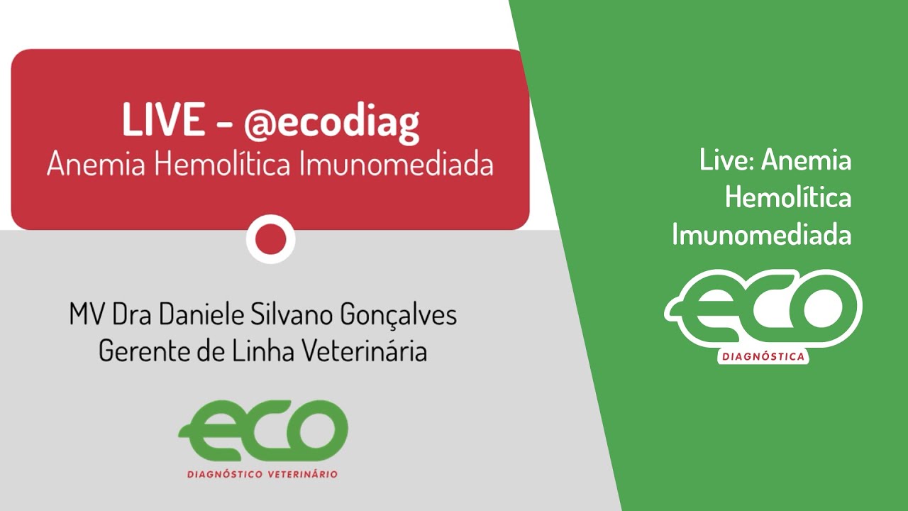 Live: Anemia Hemolítica Imunomediada [MV Dra Simone Gonçalves - Hemovet/SP]