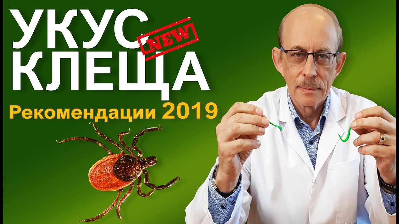 Укус клеща - что делать? Новые рекомендации СDC и AMMI 2019