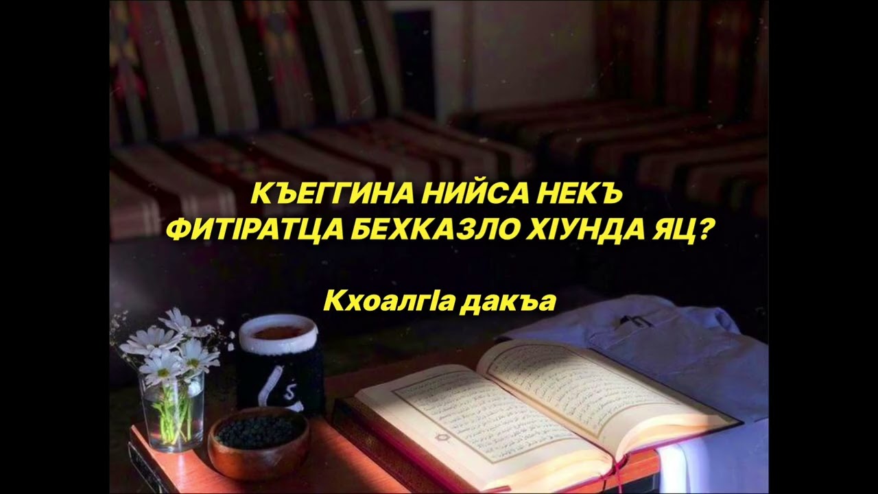 Шейх lели | Къеггина Нийса некъ Фитlротца цун хот балар Бехказло хlунда яц? Кхоалгlа дакъа.