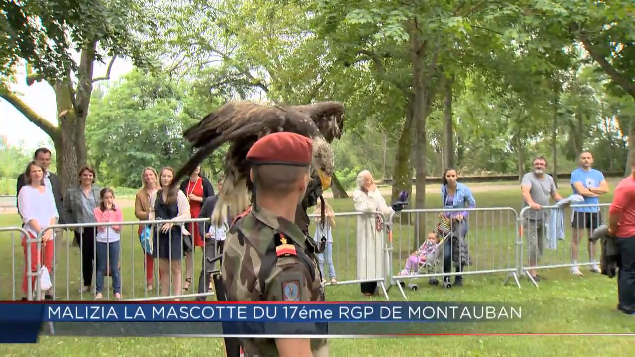 Malizia mascotte du 17ème RGP de Montauban