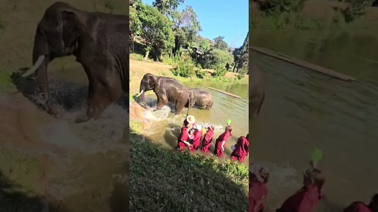 Thailand runseek