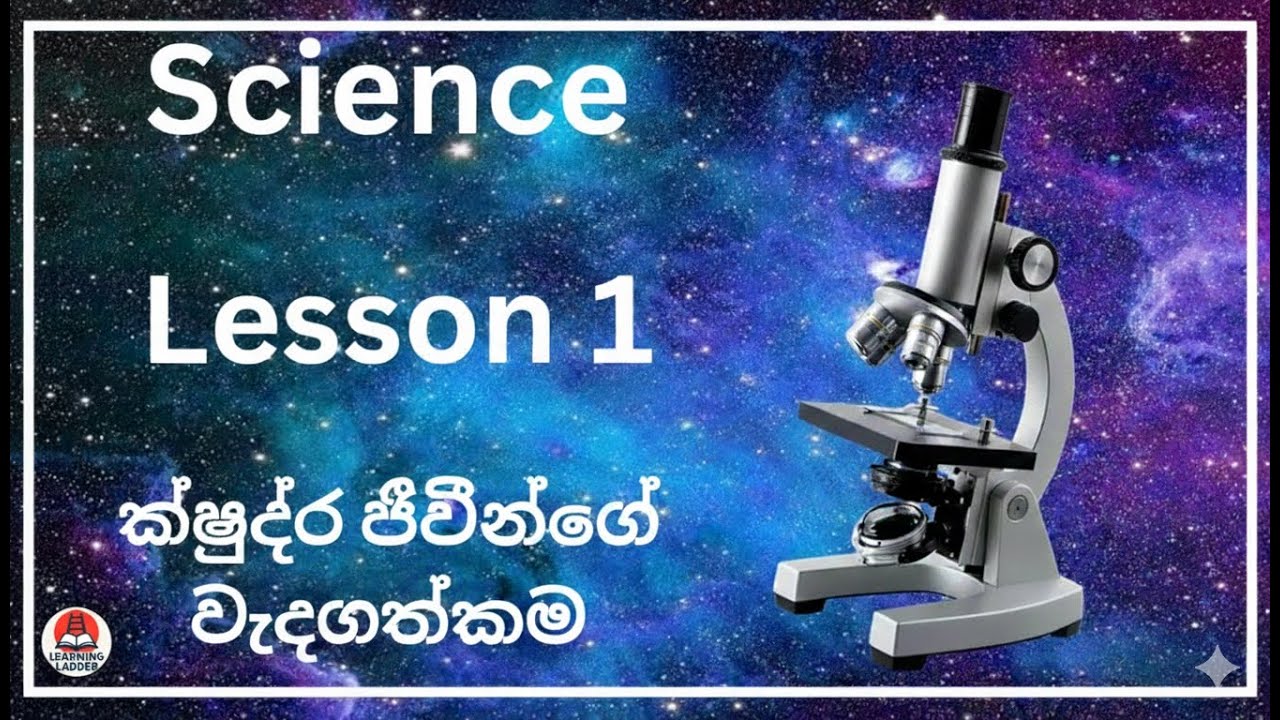 ක්ෂුද්‍ර ජීවීන්ගේ වැදගත්කම