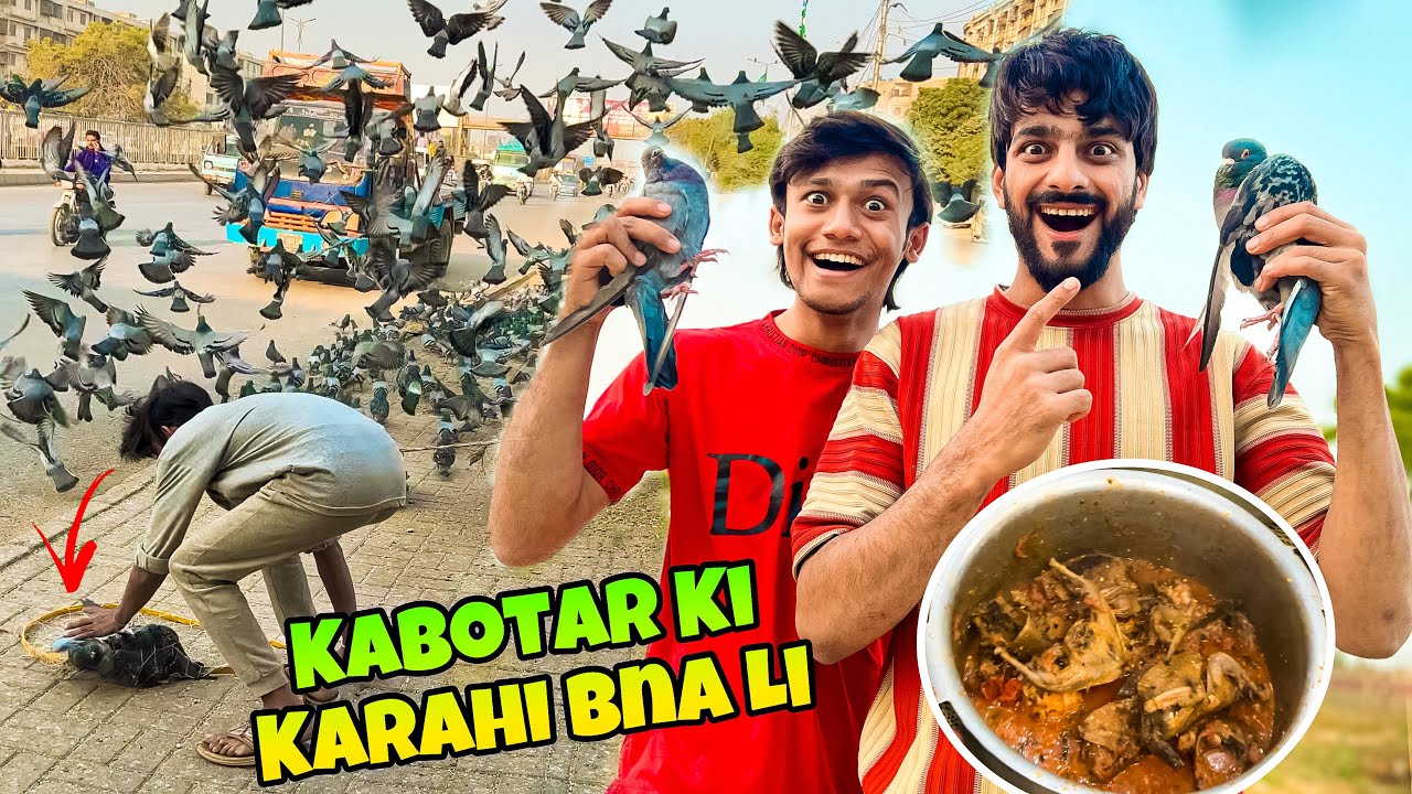 MISHKAT BHAI NE KABOOTAR HALAL KR KE KARAHI BNAI DI😍| MISHKAT KA MUNNA 