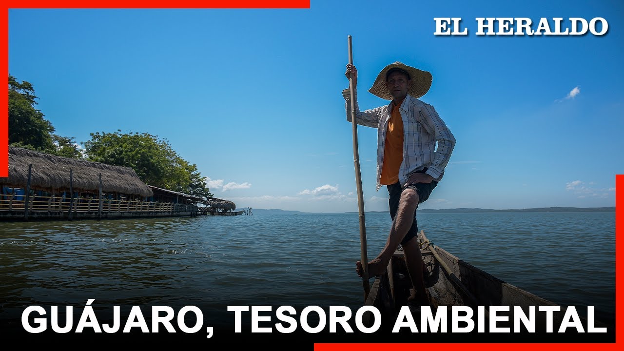 La importancia del Guájaro para las comunidades del Atlántico