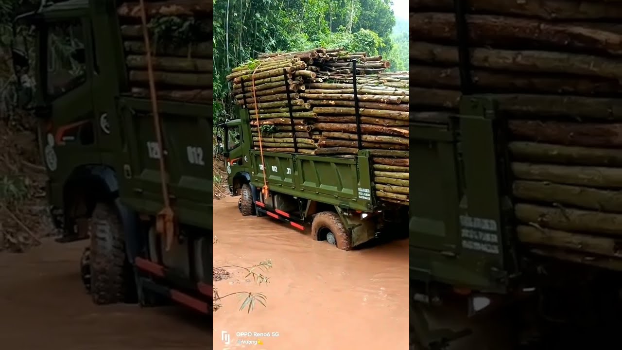TRƯỜNG GIANG 8 TẤN HAI CẦU DẦU VI SAI CHỞ GỖ ĐI ĐƯỜNG TRƠN