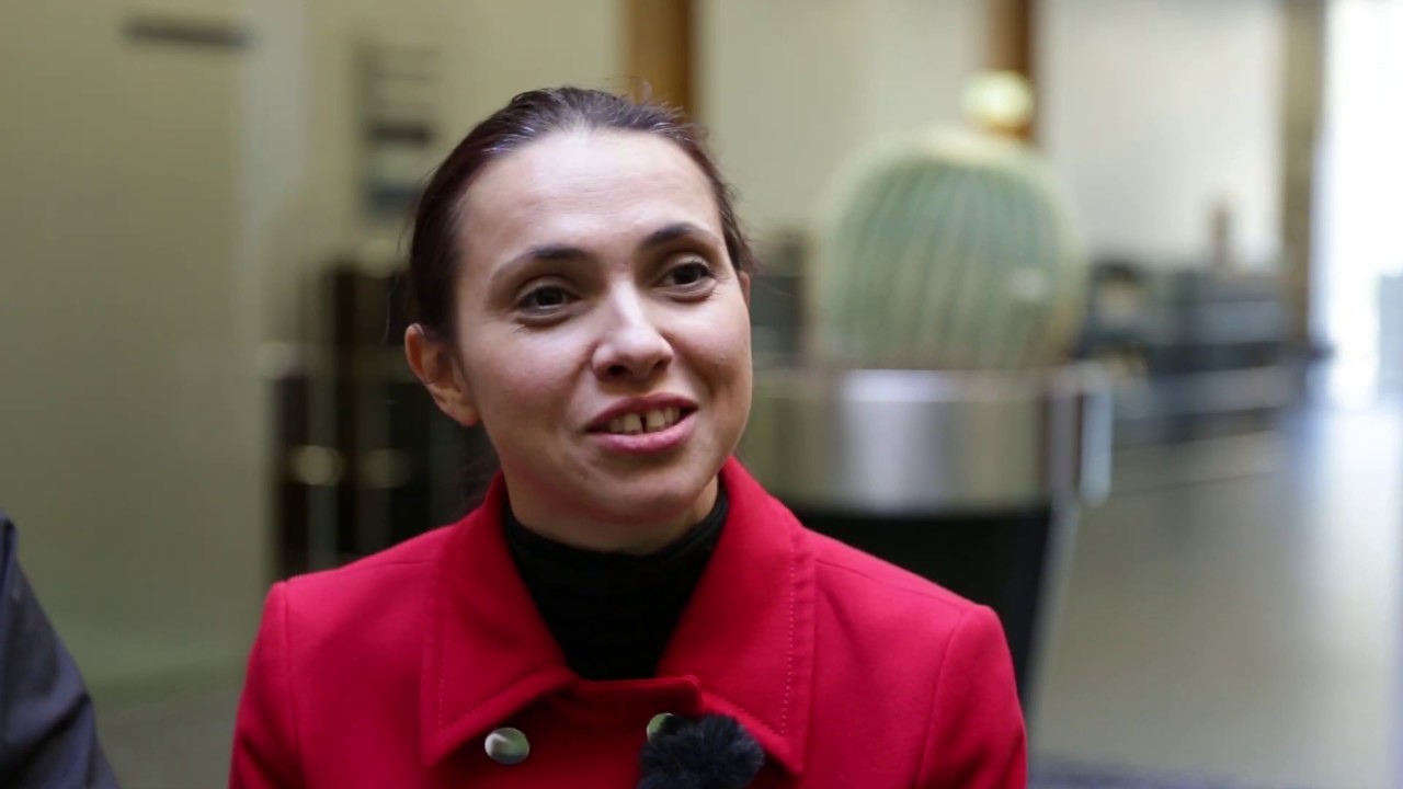 IVI - Reproductive Medicine journey in Spain