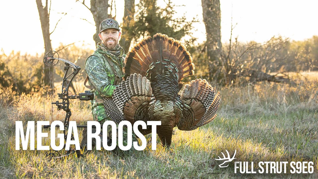 Monster Turkey Roost Hunt in Kansas!!