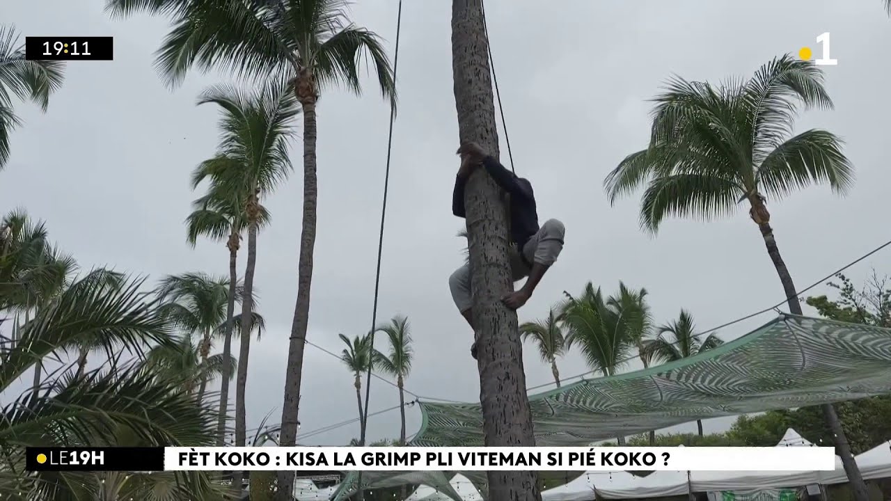 Concours insolite ce dimanche à Saint-Paul pou la Fèt Koko ! Ki sa i lé le méyèr grimpèr pied'koko