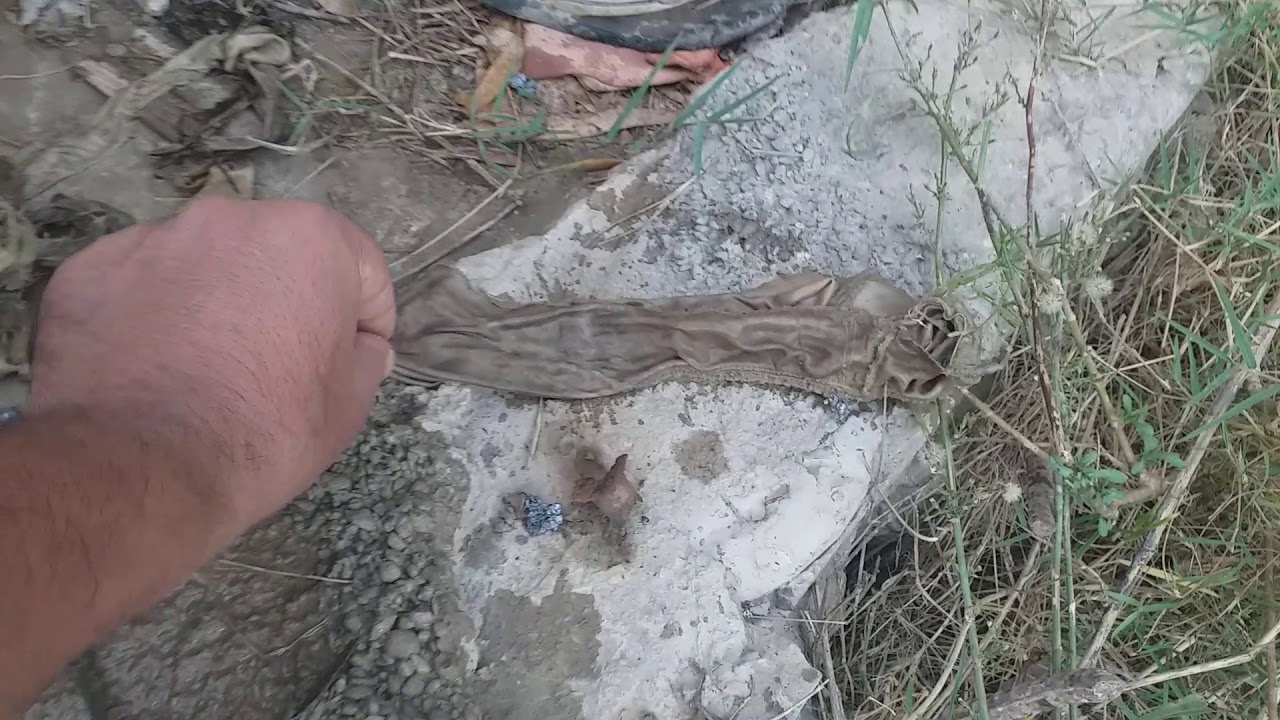 إفتح هذا المقطع ونظر ماذا وجدنا اليوم  في مدينة سيق في ساقية زيتون ونسأل الله العفو والعافية