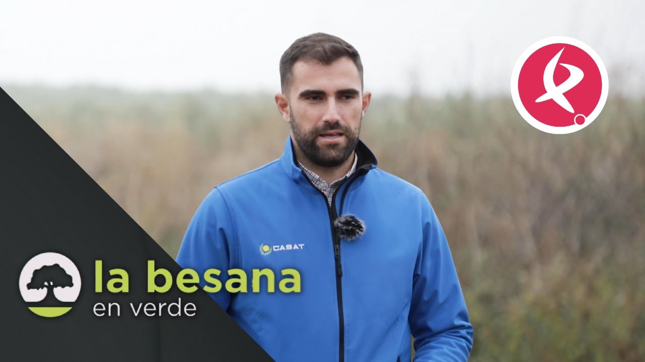 Así funcionan los campos de multiplicación de semillas | La Besana en verde