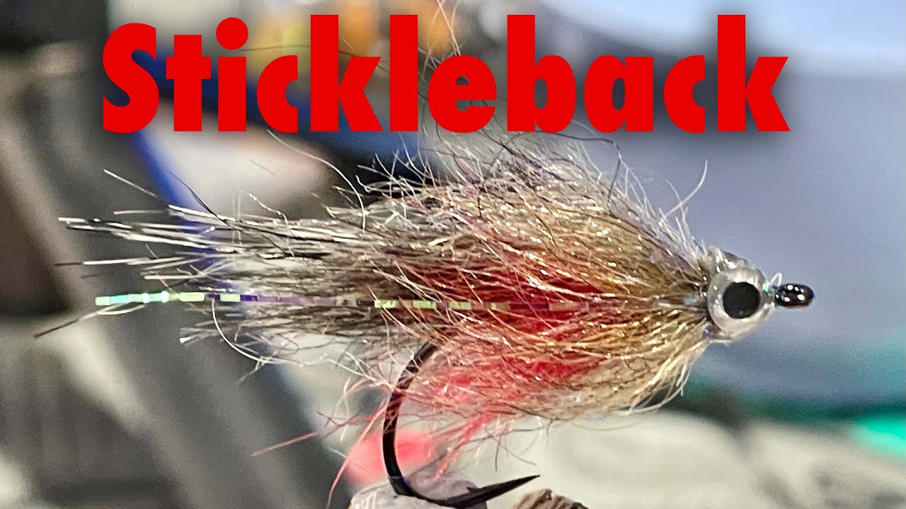 Stickleback 🎥 Flue Binding 🐟 Havørred Fiskeri