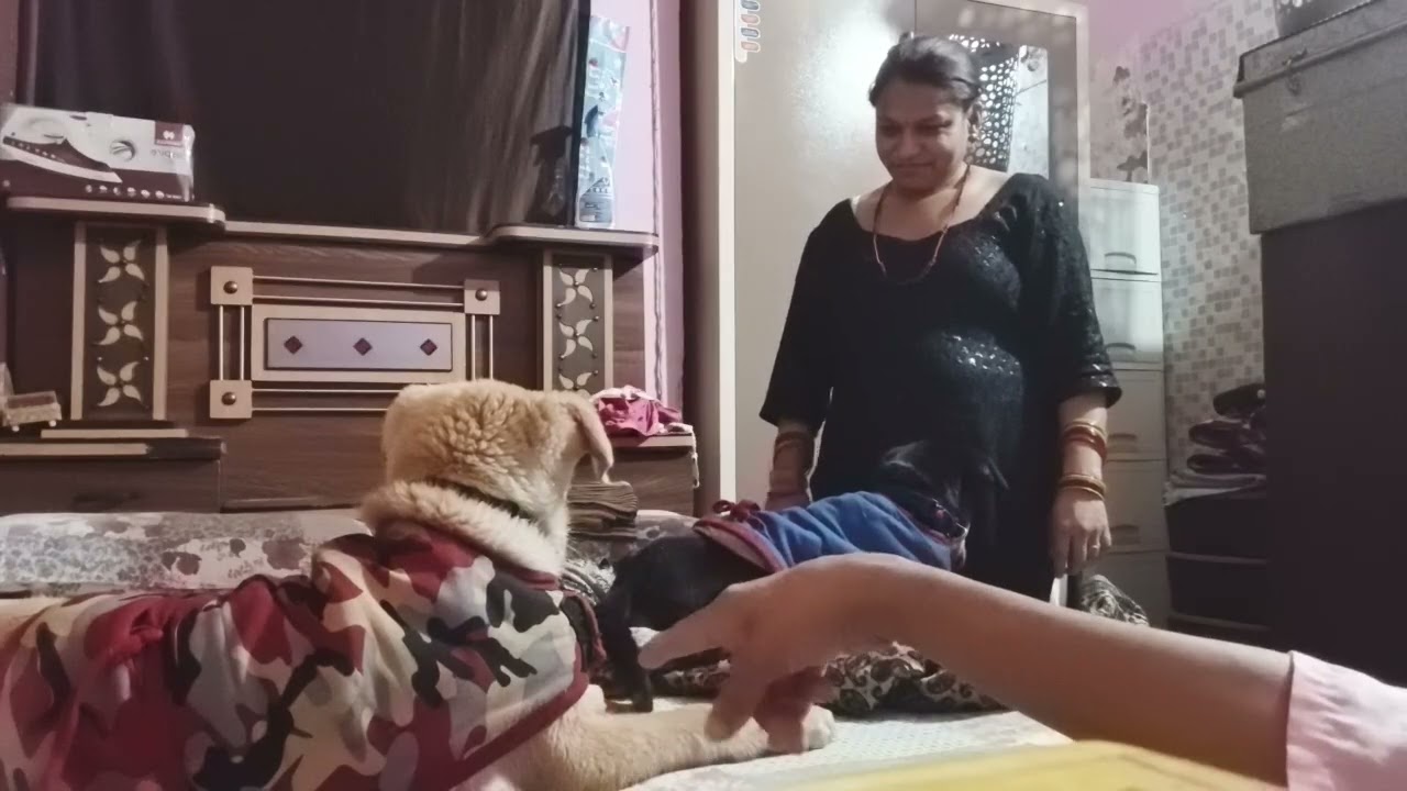 Aaj dono bachhe chale gaye 🥺🥹#babygirl #happyfamily #channel #daillyvlog #viral🔥🔥