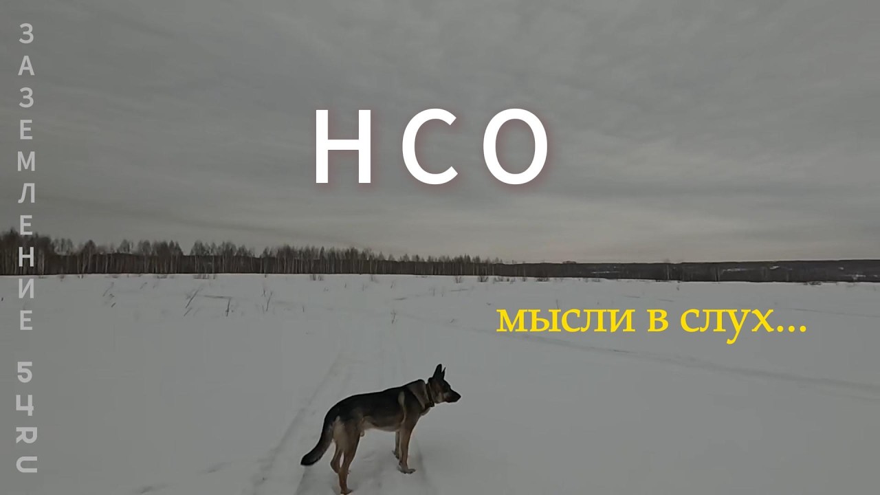 Н С О мысли в слух...