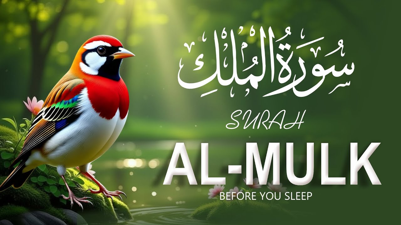 Listen Every Night 🌙 Surah Al-Mulk الملك | Sleep Protection | Deep Relaxation Ruqyah |#surahmulk