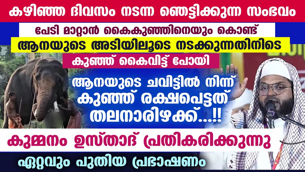 ഞെട്ടിക്കുന്ന സംഭവം...!! കൈകുഞ്ഞ് ആനയുടെ ചവിട്ടിൽ നിന്ന് രക്ഷപെട്ടത് തലനാരിഴക്ക്... Kummanam Usthad