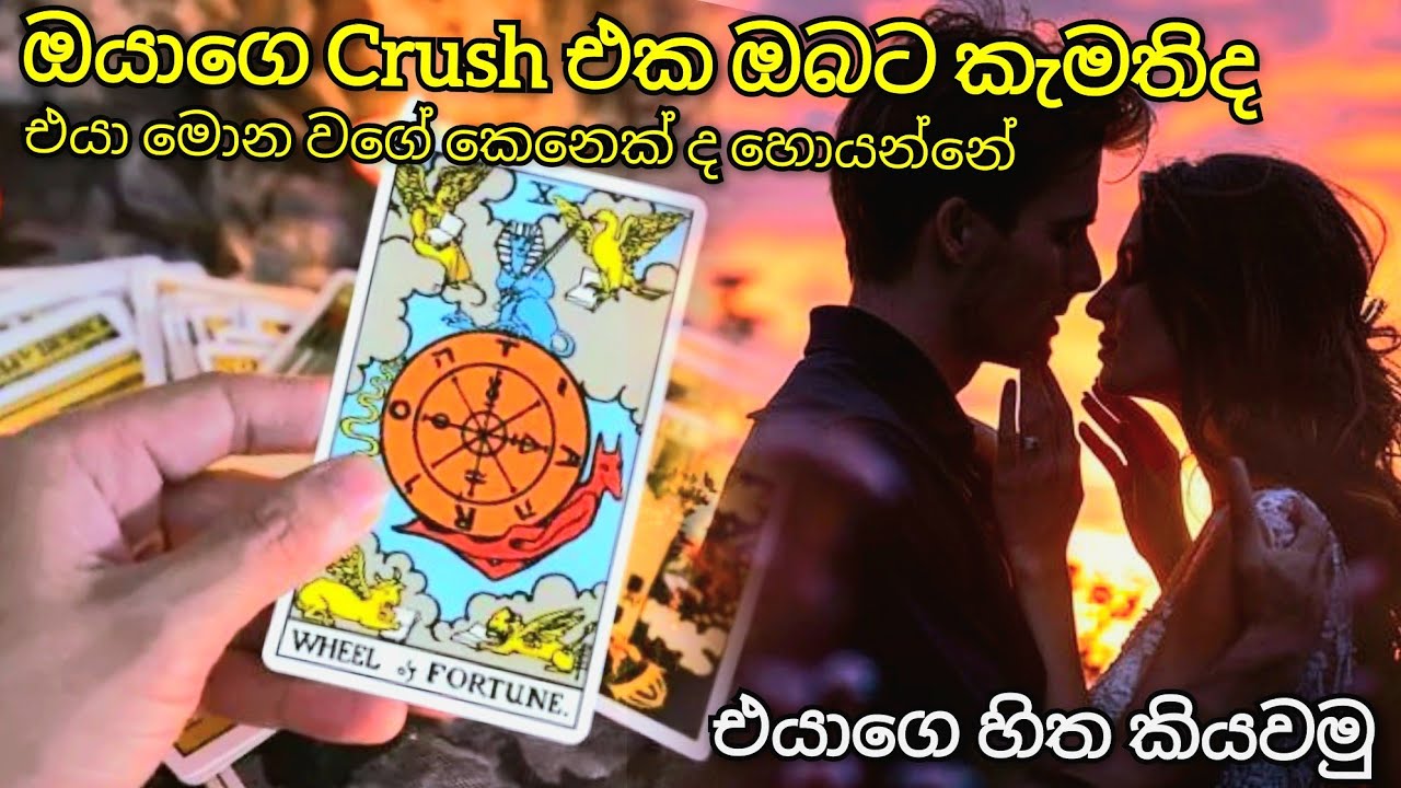 ඔයාගෙ Crush එක ඔබට කැමතිද? ♥️👫 එයාගෙ හිත කියවමු. #tarotsinhala 
