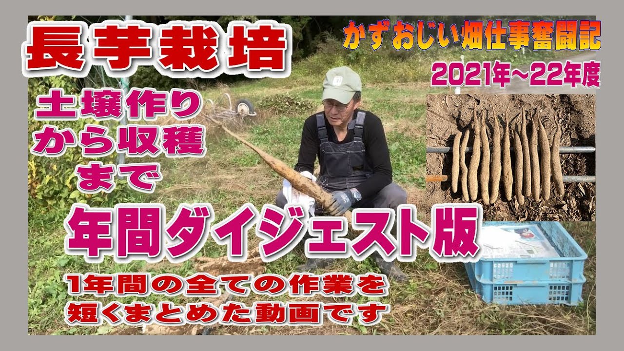 長芋栽培の１年間の作業ダイジェスト版：土壌作りから収穫まで～2022年度までの映像より（長芋栽培）農作業に挑戦中！私の野菜栽培記録
