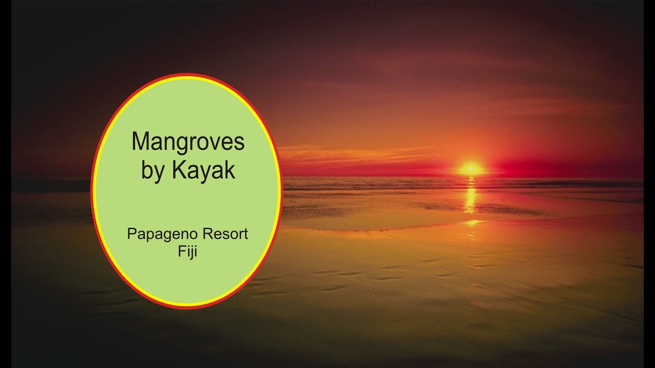 Papageno Resort Mangroves by Kayak