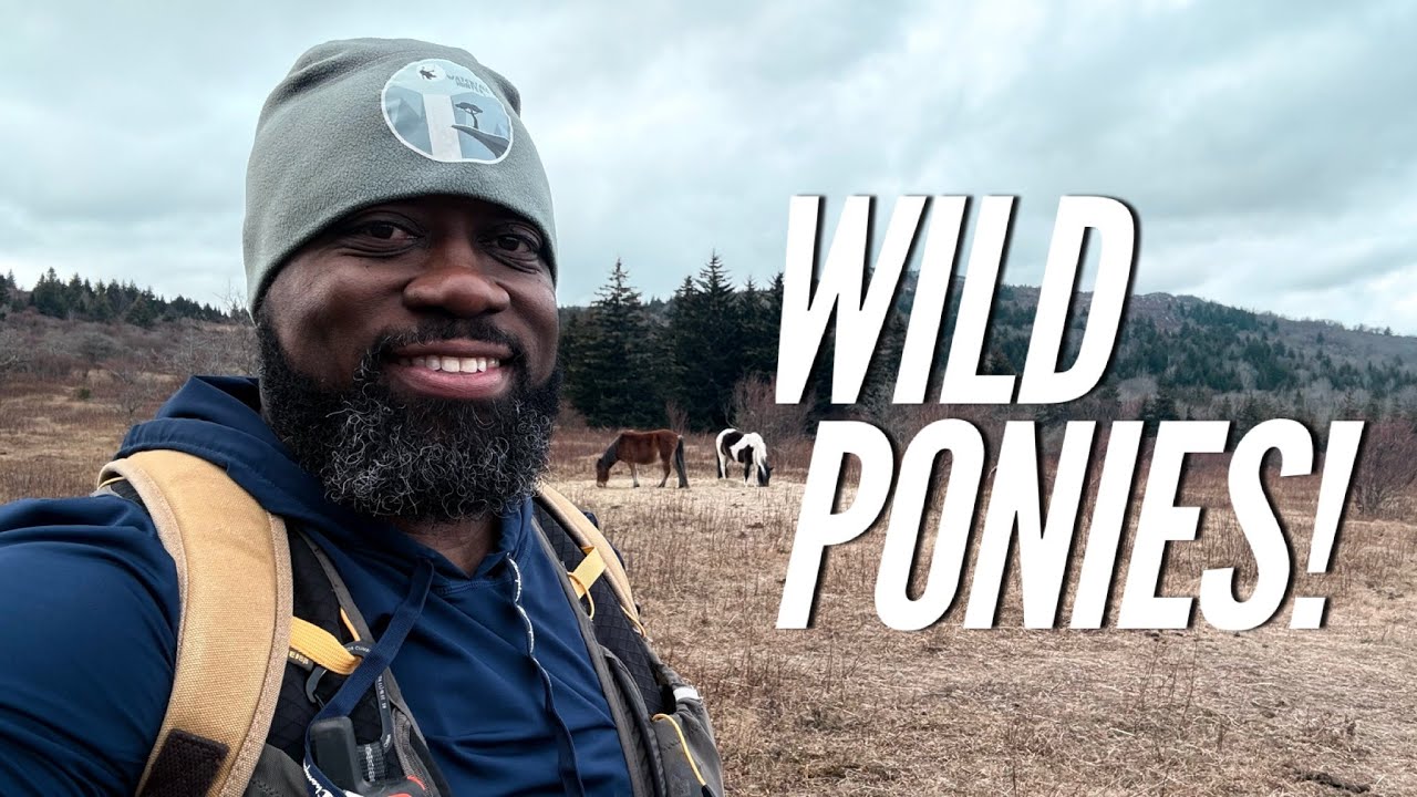 Hiking to see my WILD PONY homies!
