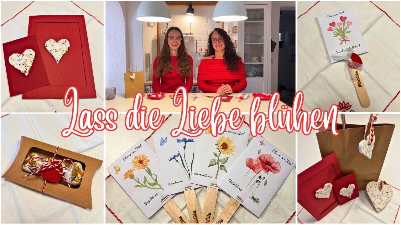 DIY 4 nachhaltige Valentinstag Geschenkideen 💝 Natur-Geschenke, die wachsen! 🌱