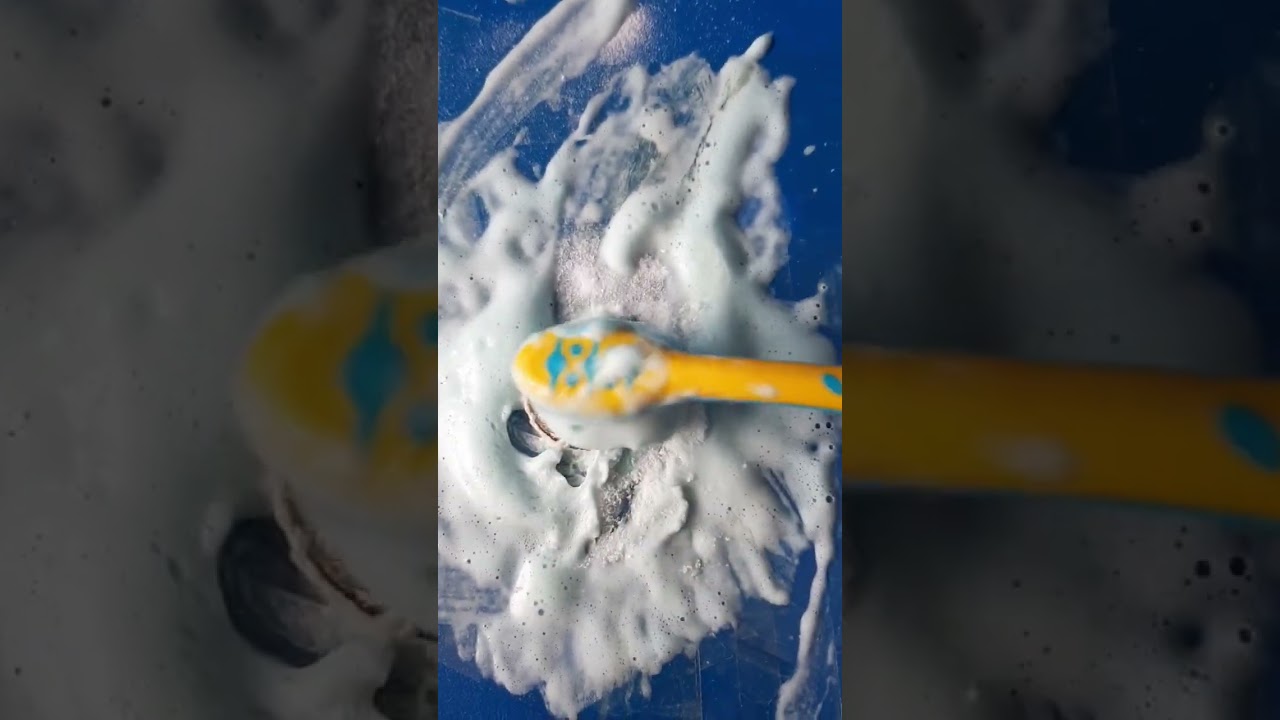 kako oprati novčić?