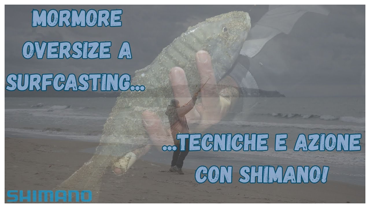 Mormore Oversize a Surfcasting | Tecniche e Azione con Shimano!