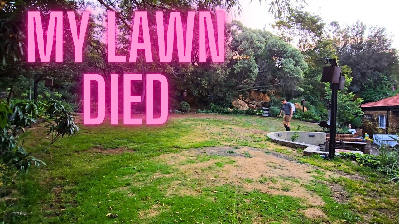 I killed my Lawn