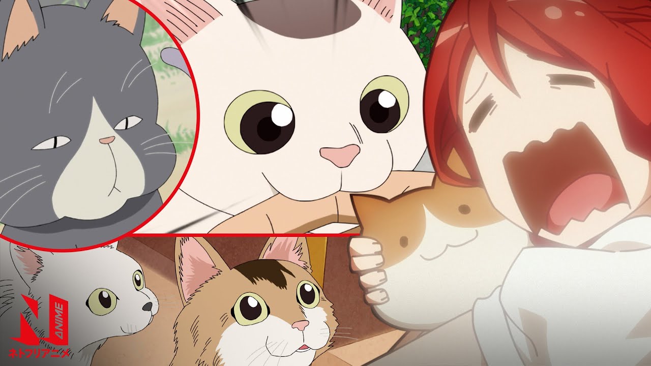 Iconic Anime Cats | Anime Music Video | AMV | Netflix Anime