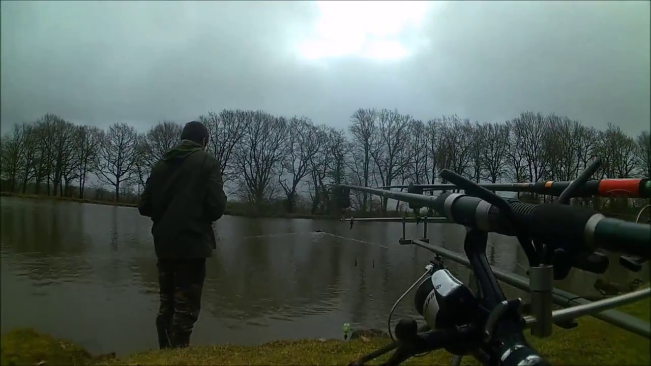 ***Session carpe 2017 combat en direct !***